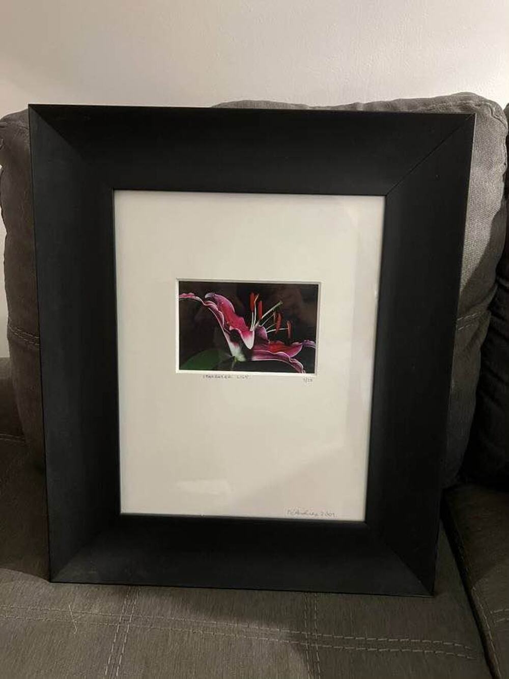 Framed Stargazer Lily Print by Andres 2009